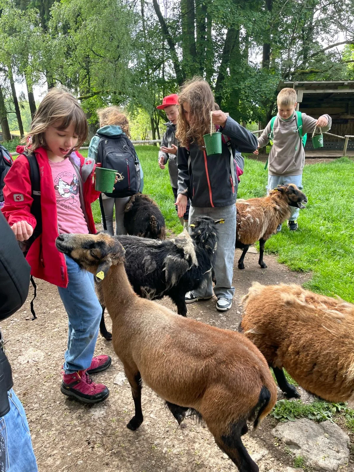 Kinder begegnen Tieren bei einem Ausflug.