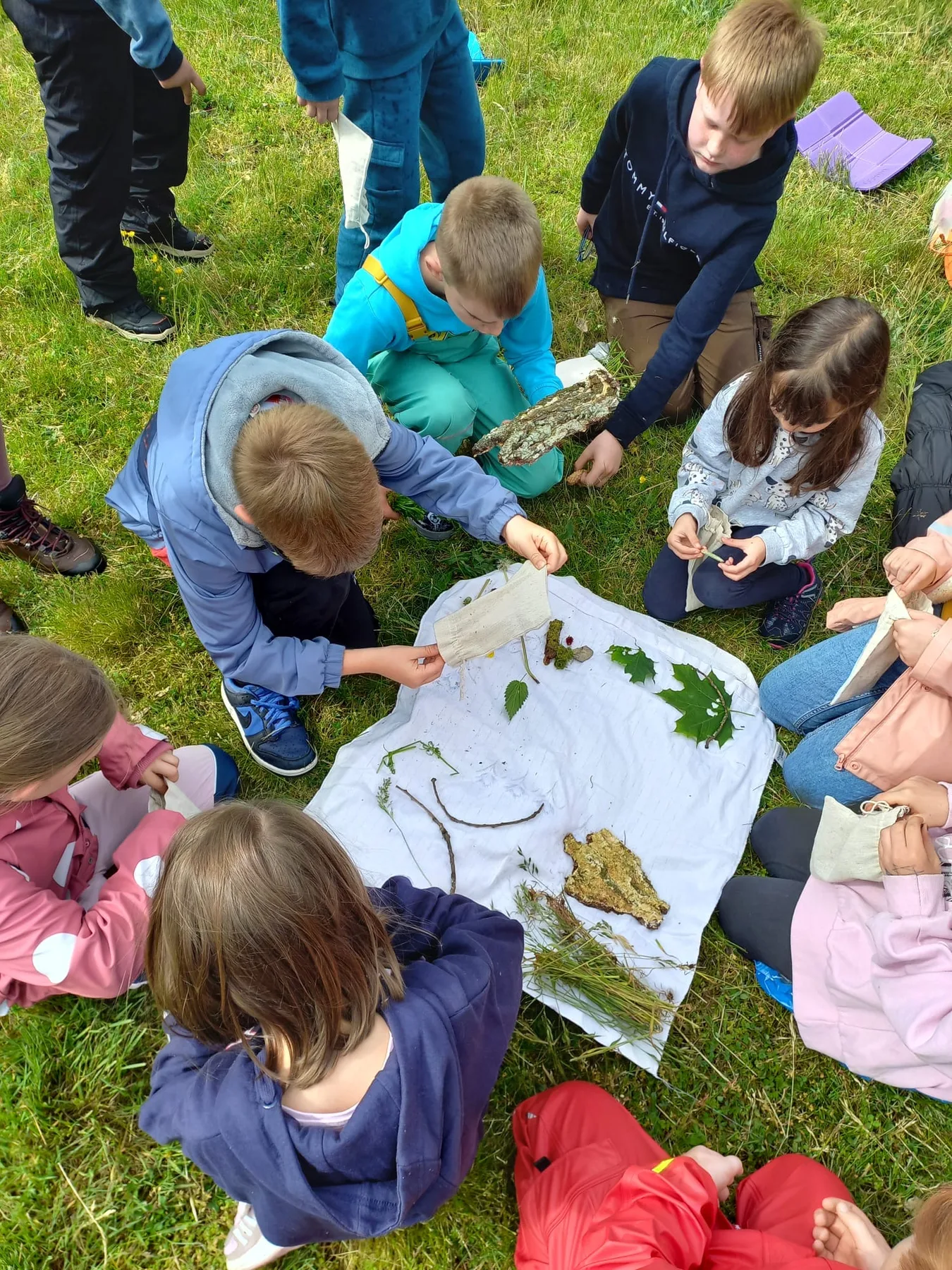 Kinder untersuchen und sortieren Naturmaterialien.